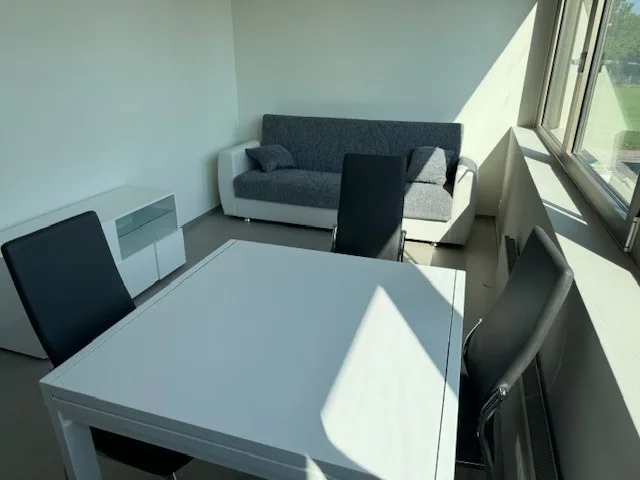 "1.5 Zimmer-Studio-Wohnung in Steinhausen"