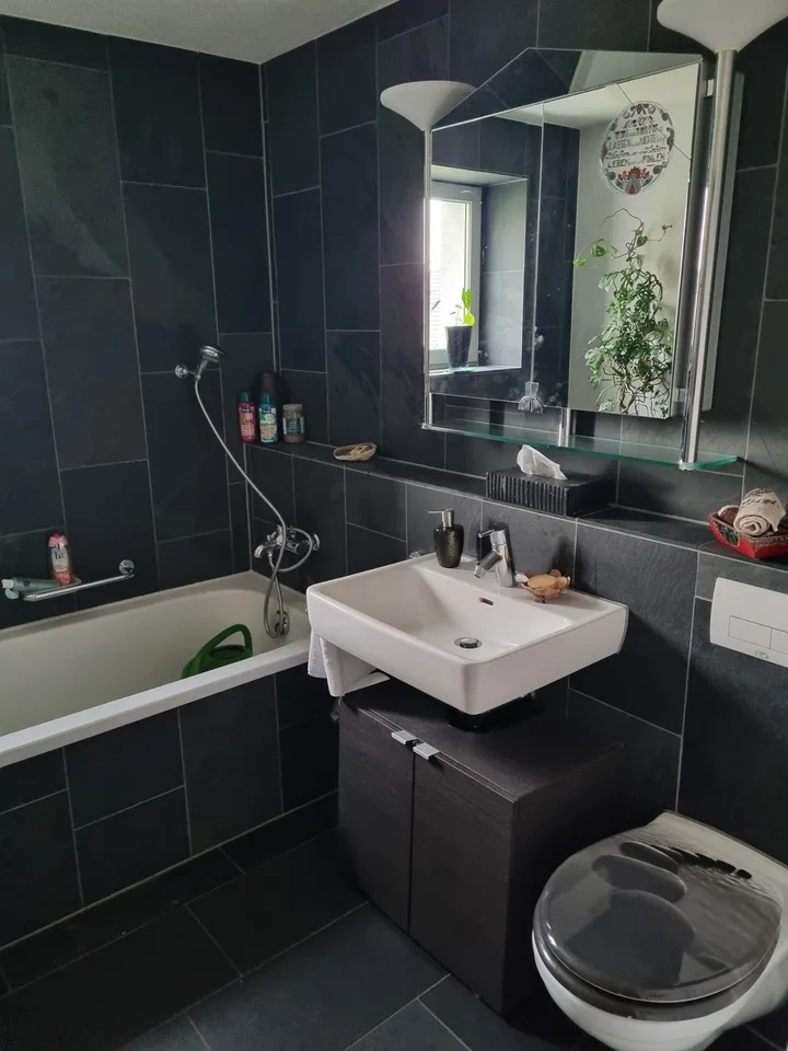 Untermosenstrasse 19, 8820 Wädenswil - CHF 1’500 inkl. NK pro Monat