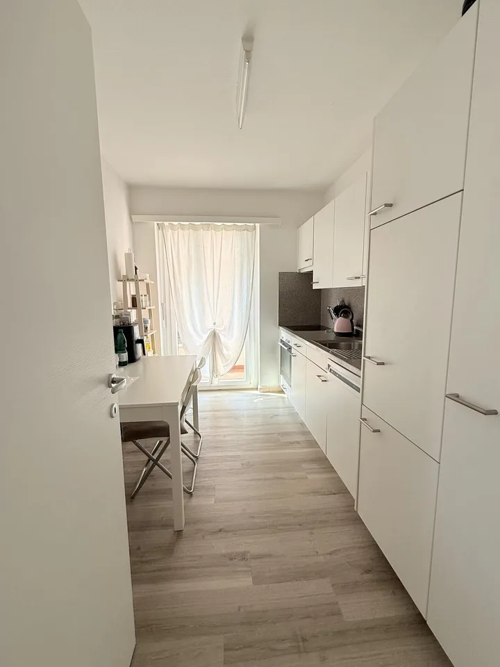 GRAND ET LUMINEUX APPARTEMENT DANS UN QUARTIER CALME