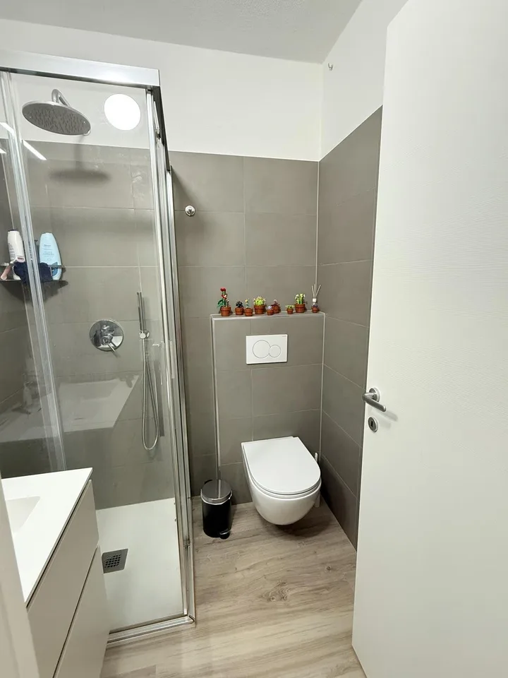 GRAND ET LUMINEUX APPARTEMENT DANS UN QUARTIER CALME
