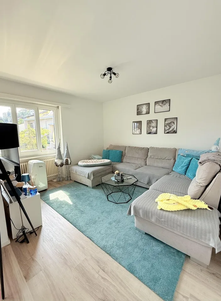 GRAND ET LUMINEUX APPARTEMENT DANS UN QUARTIER CALME
