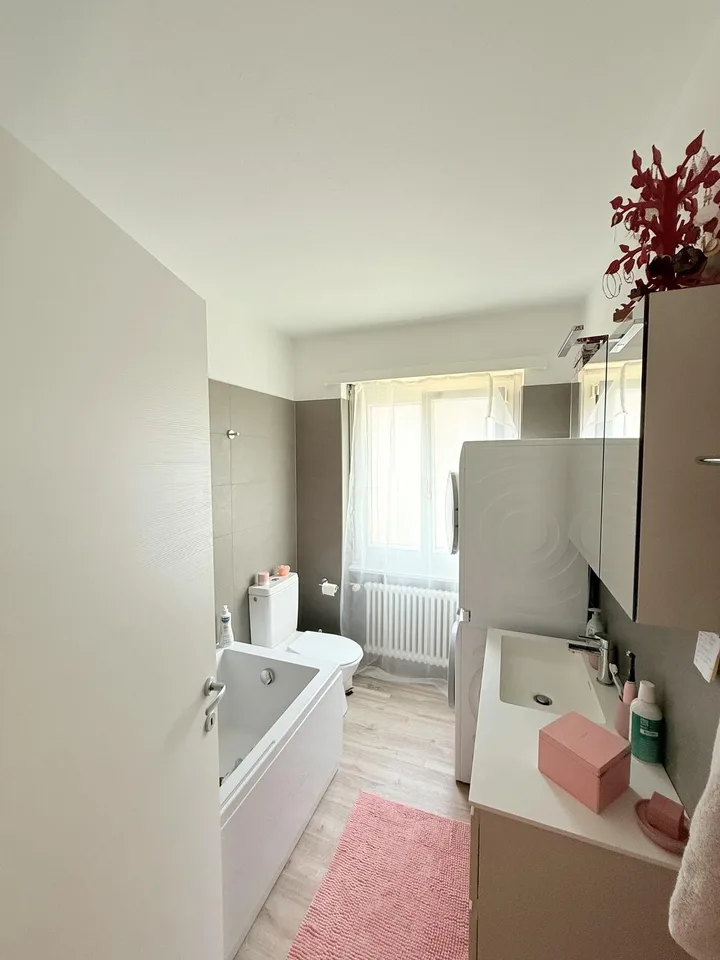 GRAND ET LUMINEUX APPARTEMENT DANS UN QUARTIER CALME