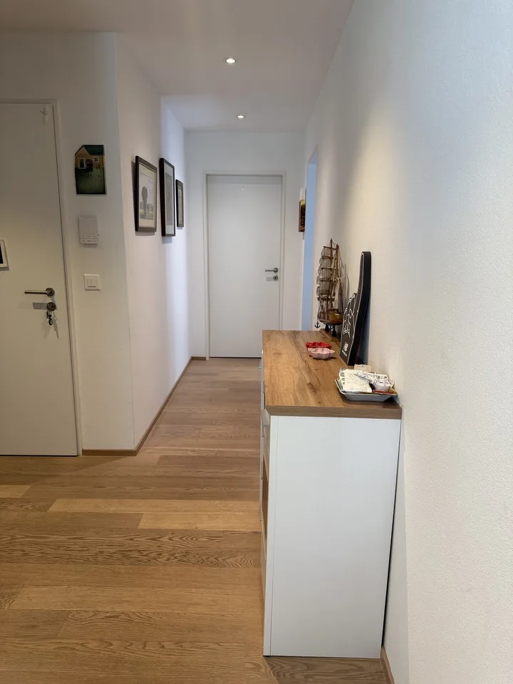 Bright & Quiet 3.5-Room Terrace Apartment in Dietlikon