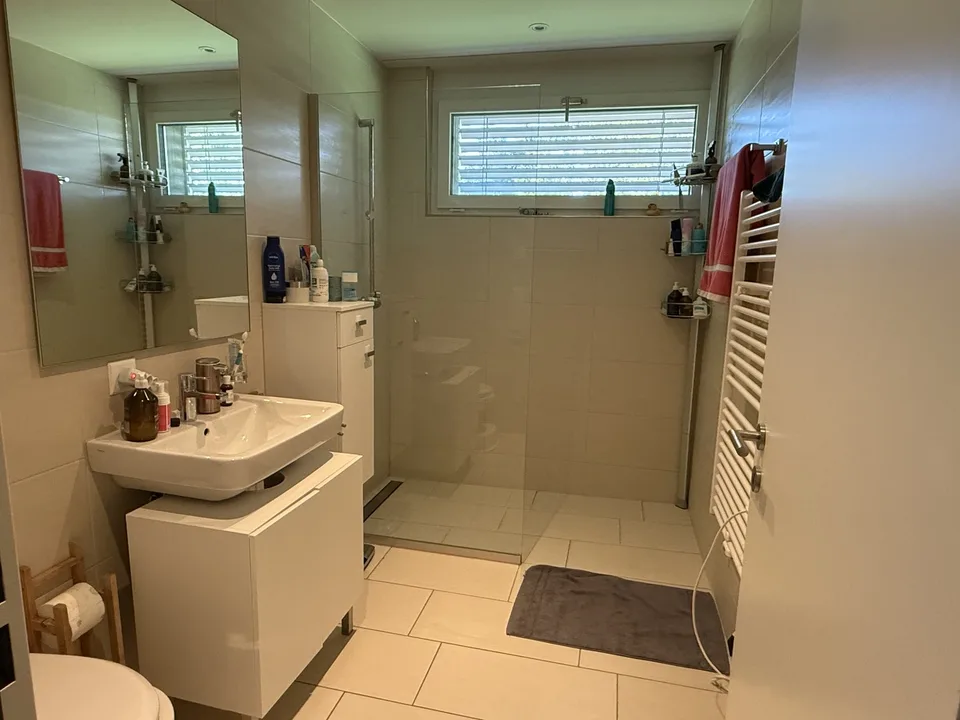 Bright & Quiet 3.5-Room Terrace Apartment in Dietlikon