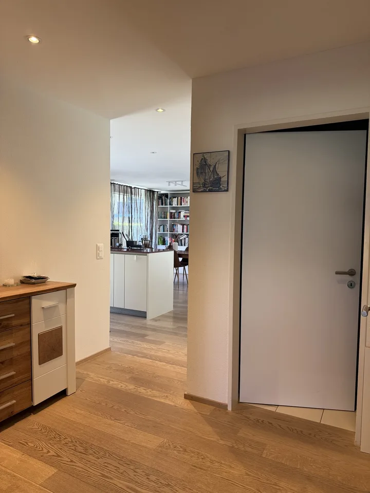 Bright & Quiet 3.5-Room Terrace Apartment in Dietlikon