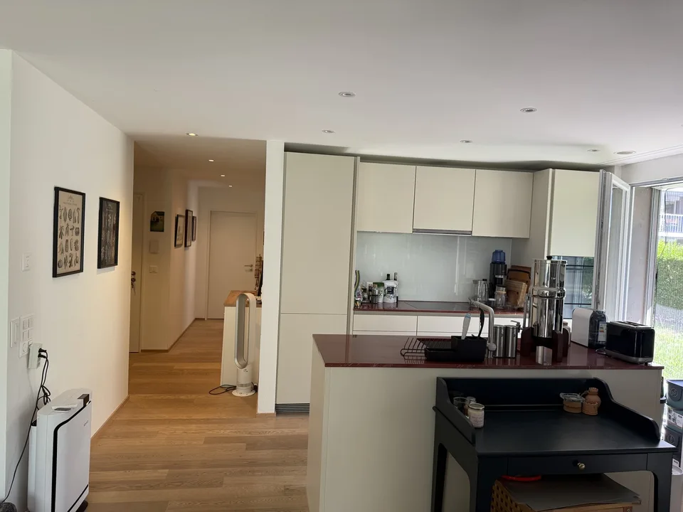 Bright & Quiet 3.5-Room Terrace Apartment in Dietlikon