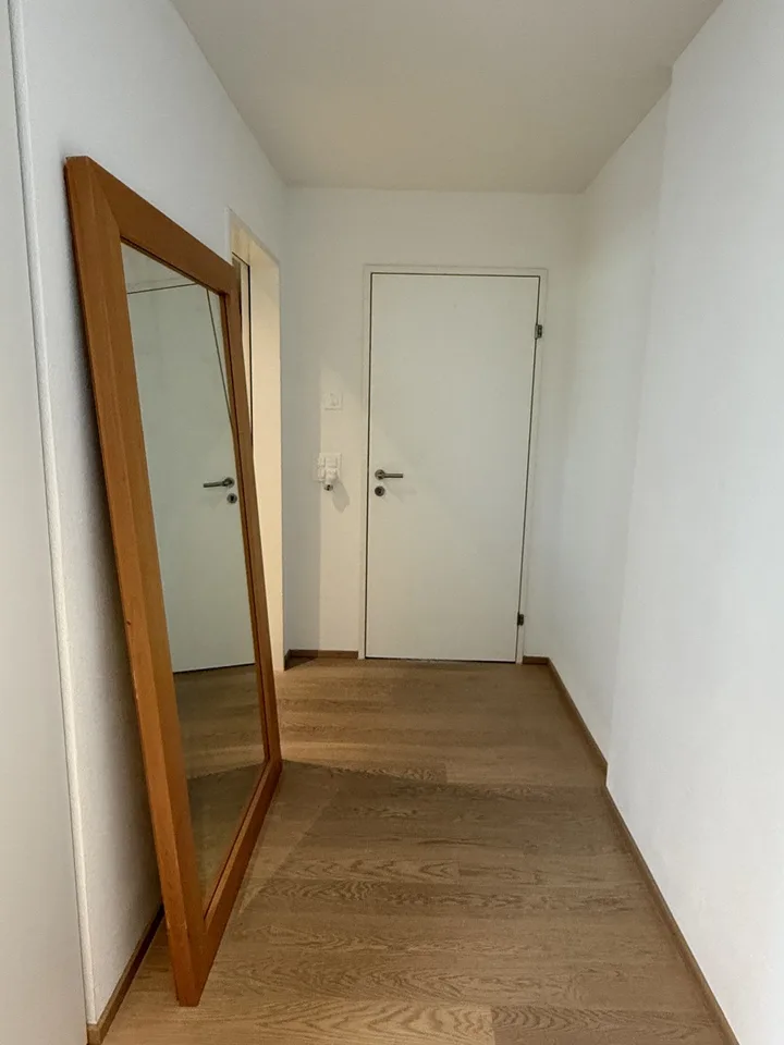 Bright & Quiet 3.5-Room Terrace Apartment in Dietlikon
