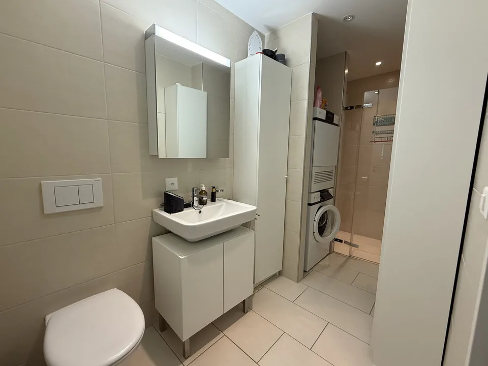 Bright & Quiet 3.5-Room Terrace Apartment in Dietlikon