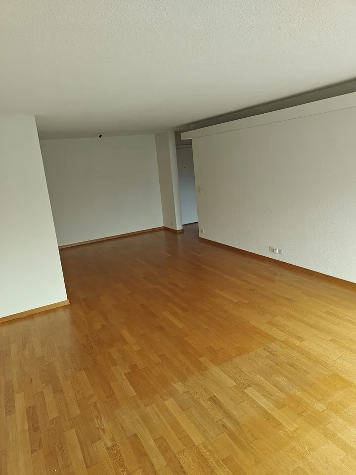Renovierte 3.5-Zimmer-Wohnung an ruhiger Lage