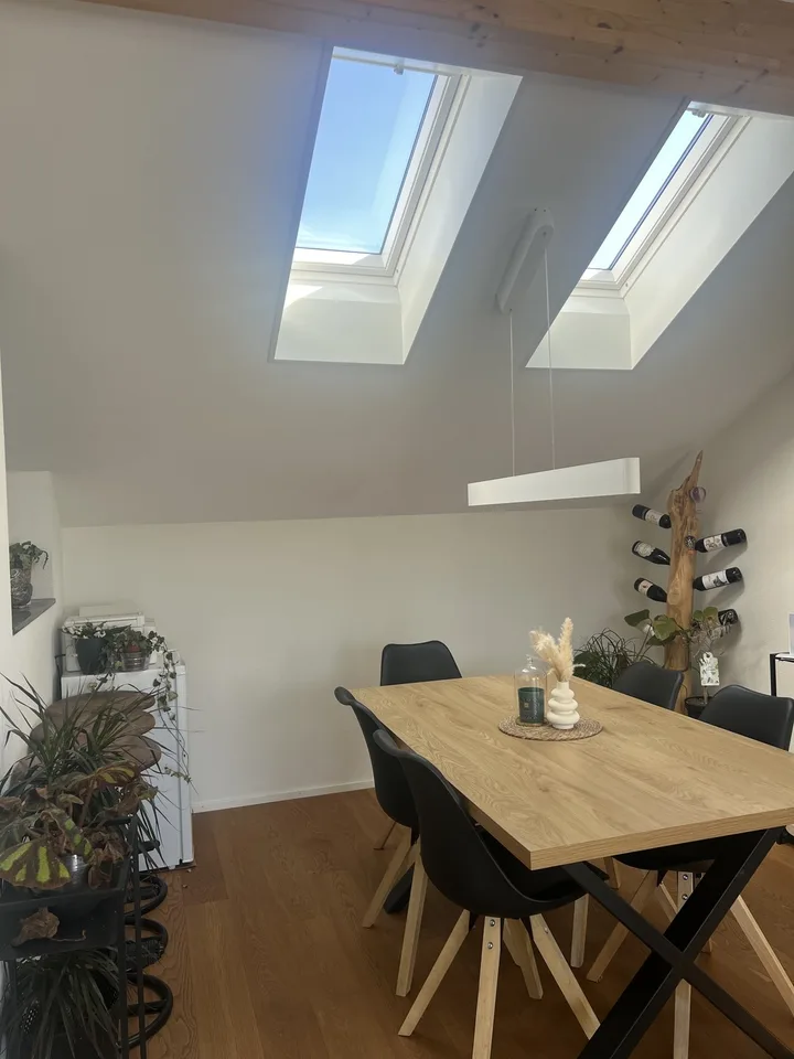 3.5-Zimmer-Dachwohnung mit grosser Terrasse & Seeblick in Pfäffikon ZH