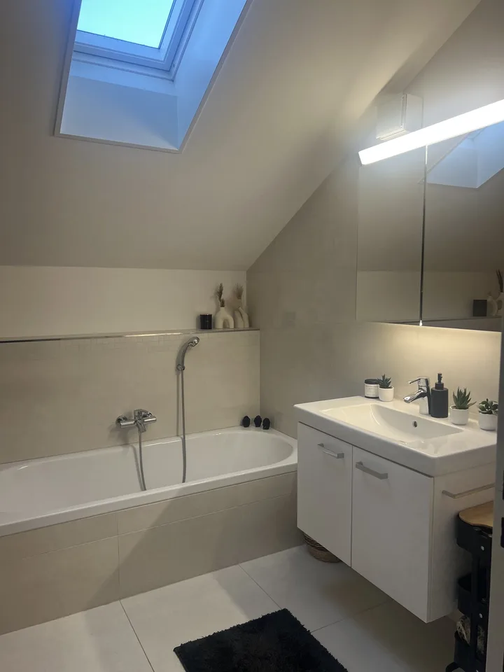 3.5-Zimmer-Dachwohnung mit grosser Terrasse & Seeblick in Pfäffikon ZH