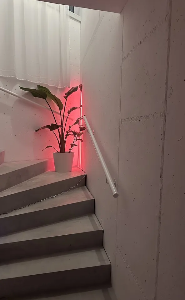 Nachmieter gesucht, per sofort – helle Wohnung mit Garten