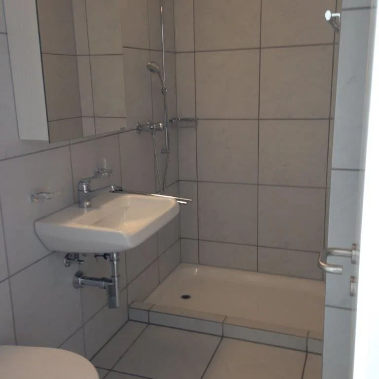 Bright & Spacious 3.5-Room Apartment in Zollikerberg – Lease Takeover from 1 November