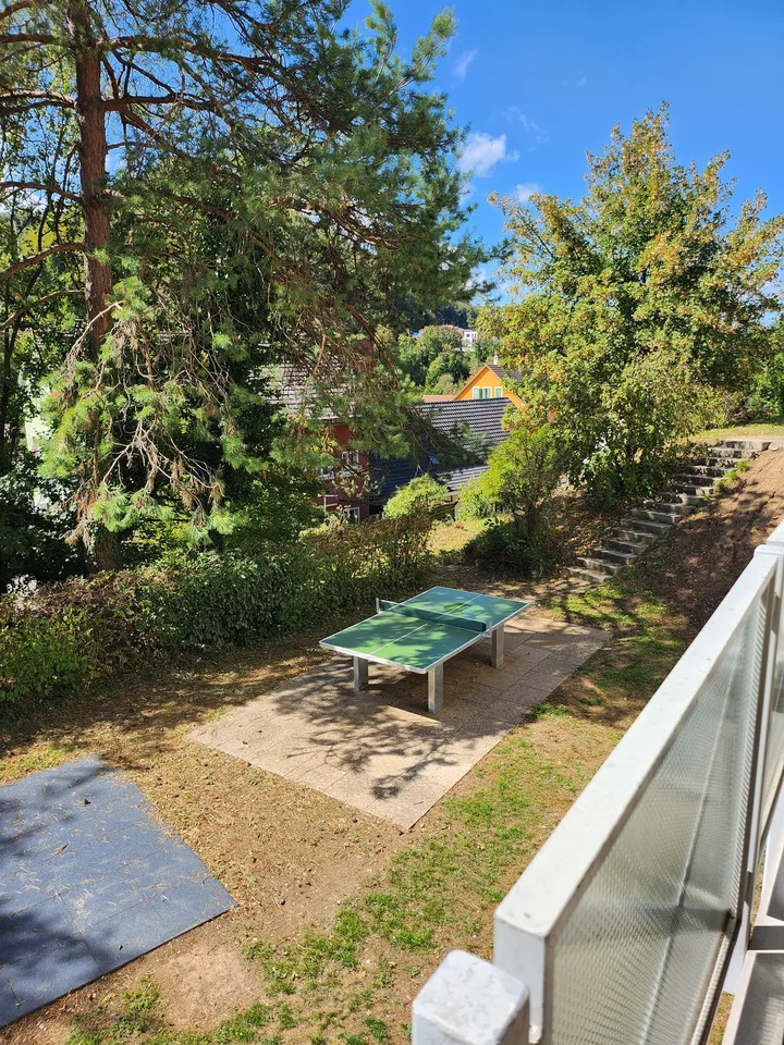 GROSSE WOHNUNG NÄHE BADEN