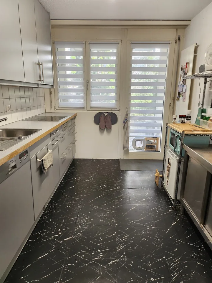 GROSSE WOHNUNG NÄHE BADEN