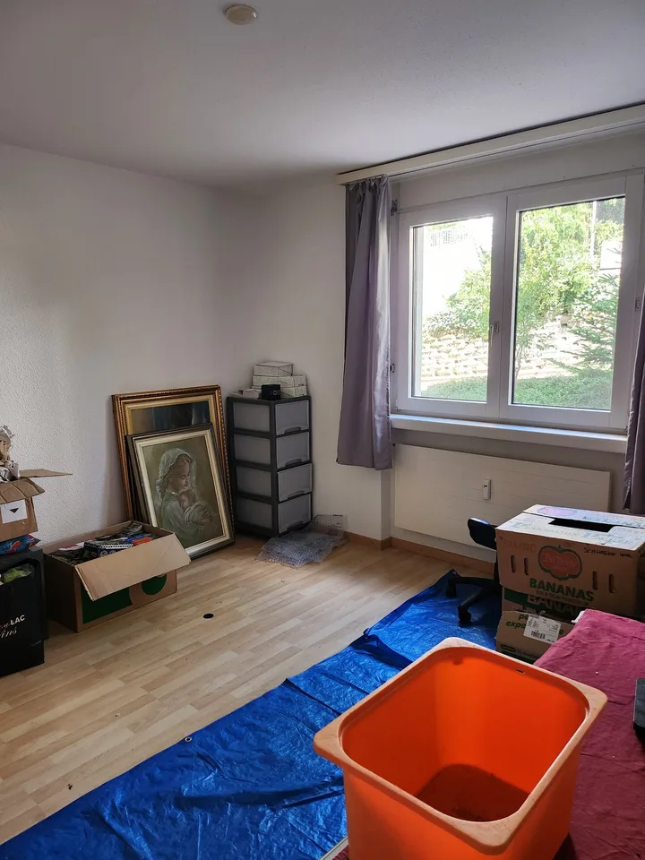 GROSSE WOHNUNG NÄHE BADEN
