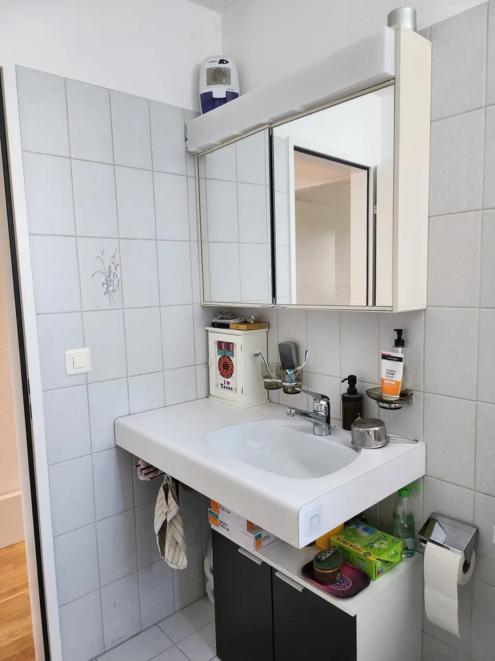 GROSSE WOHNUNG NÄHE BADEN