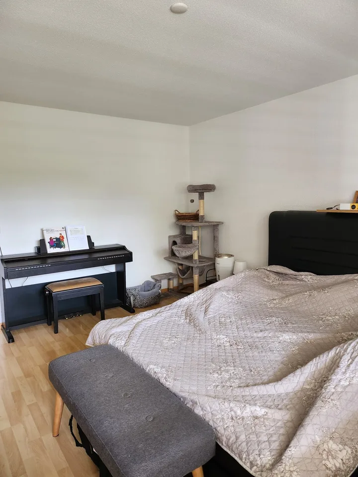 GROSSE WOHNUNG NÄHE BADEN