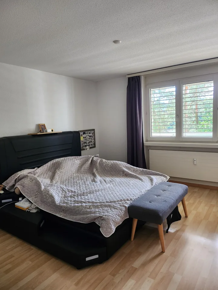 GROSSE WOHNUNG NÄHE BADEN