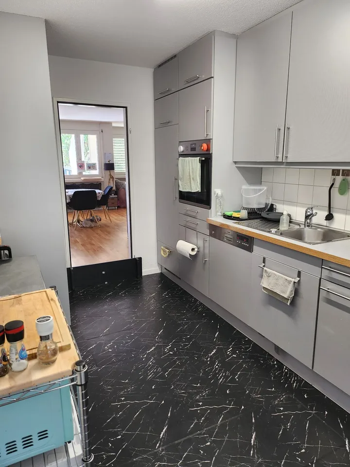 GROSSE WOHNUNG NÄHE BADEN