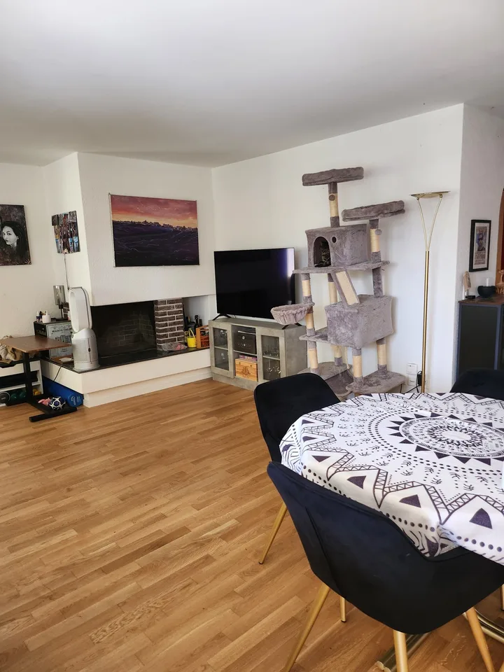 GROSSE WOHNUNG NÄHE BADEN