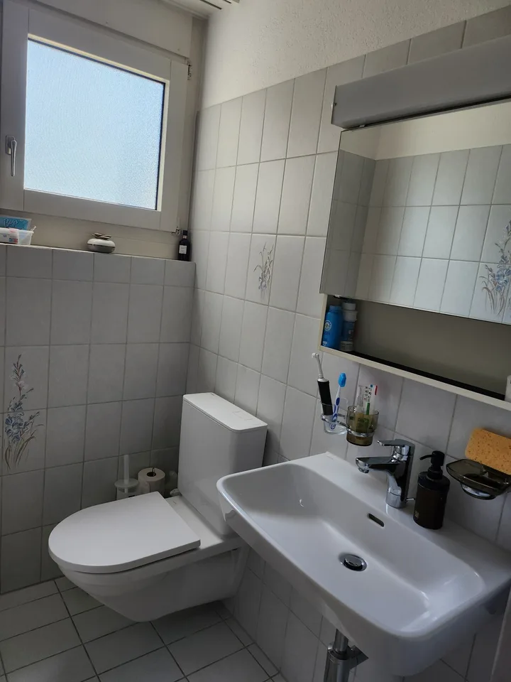 GROSSE WOHNUNG NÄHE BADEN
