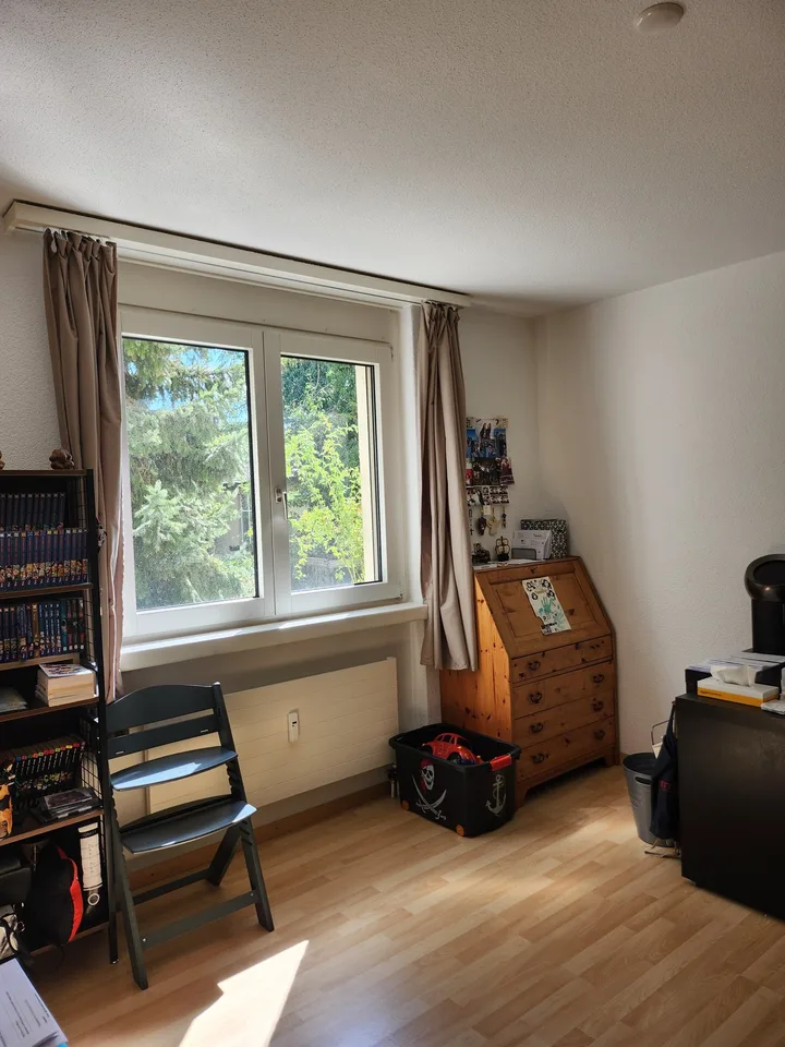 GROSSE WOHNUNG NÄHE BADEN