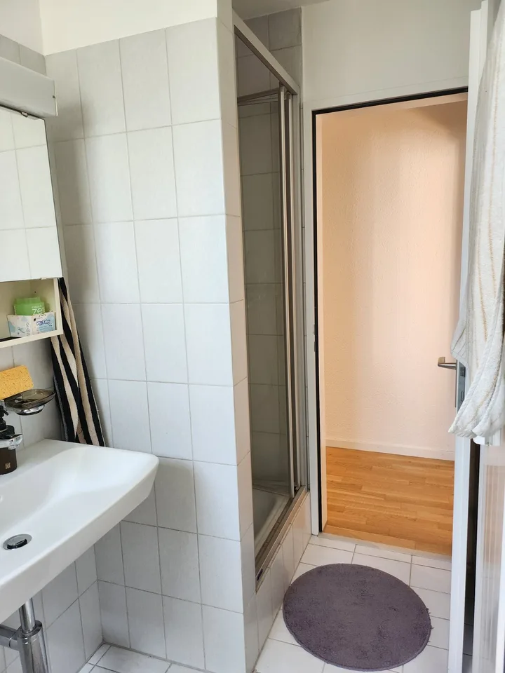 GROSSE WOHNUNG NÄHE BADEN