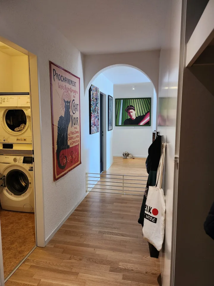 GROSSE WOHNUNG NÄHE BADEN