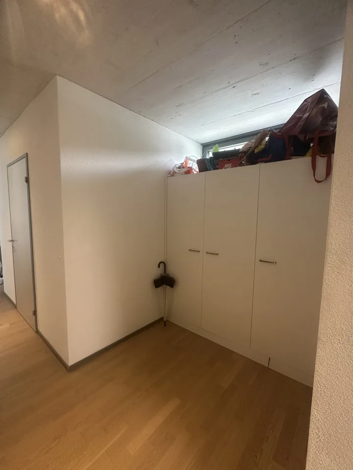 2 zimmer in moderner wg