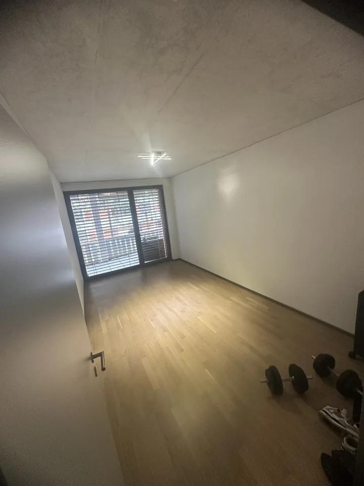 2 zimmer in moderner wg