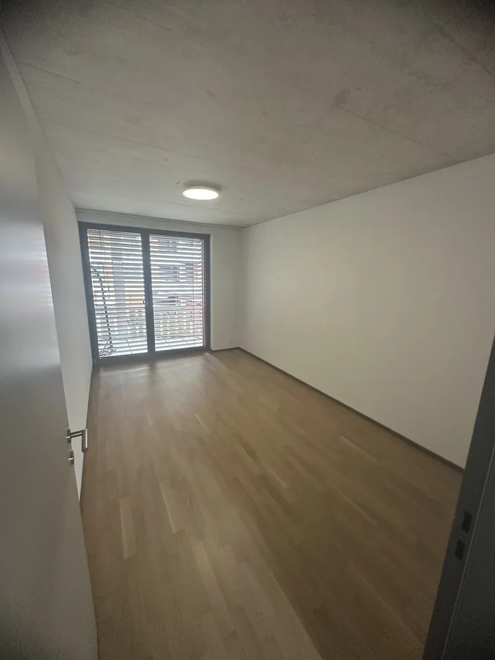 2 zimmer in moderner wg