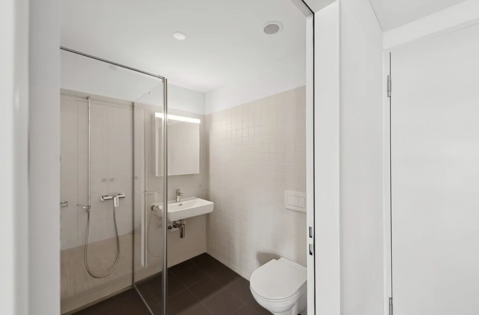 Wohnung 1.5 Zimmer in Erlenbach