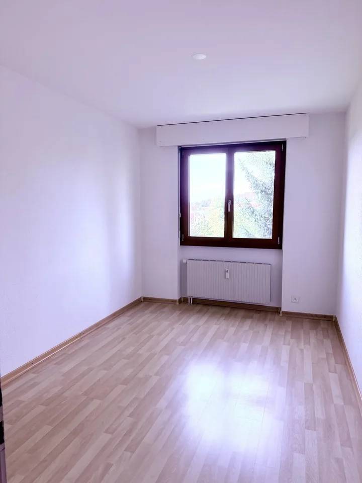 Sonnige, grosszügige 4½-Zimmerwohnung