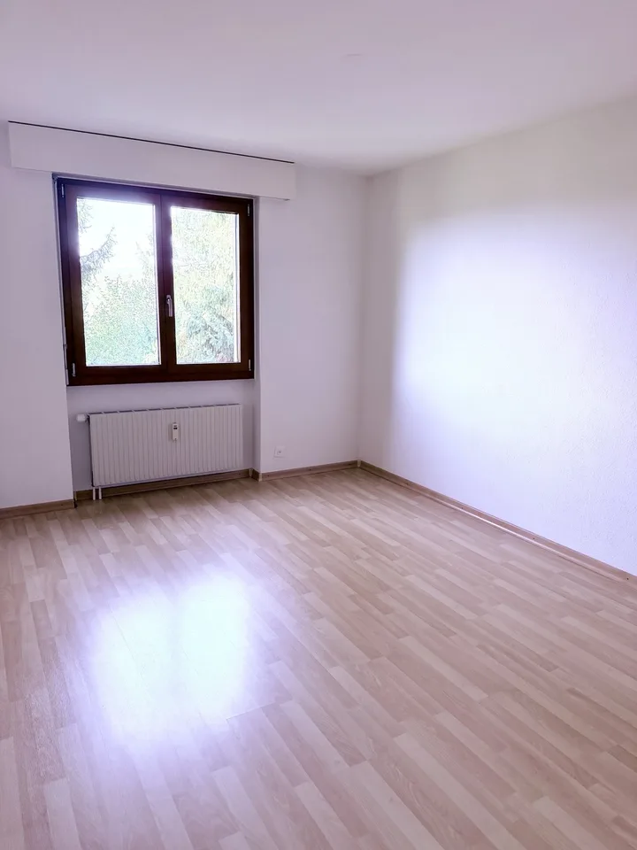 Sonnige, grosszügige 4½-Zimmerwohnung