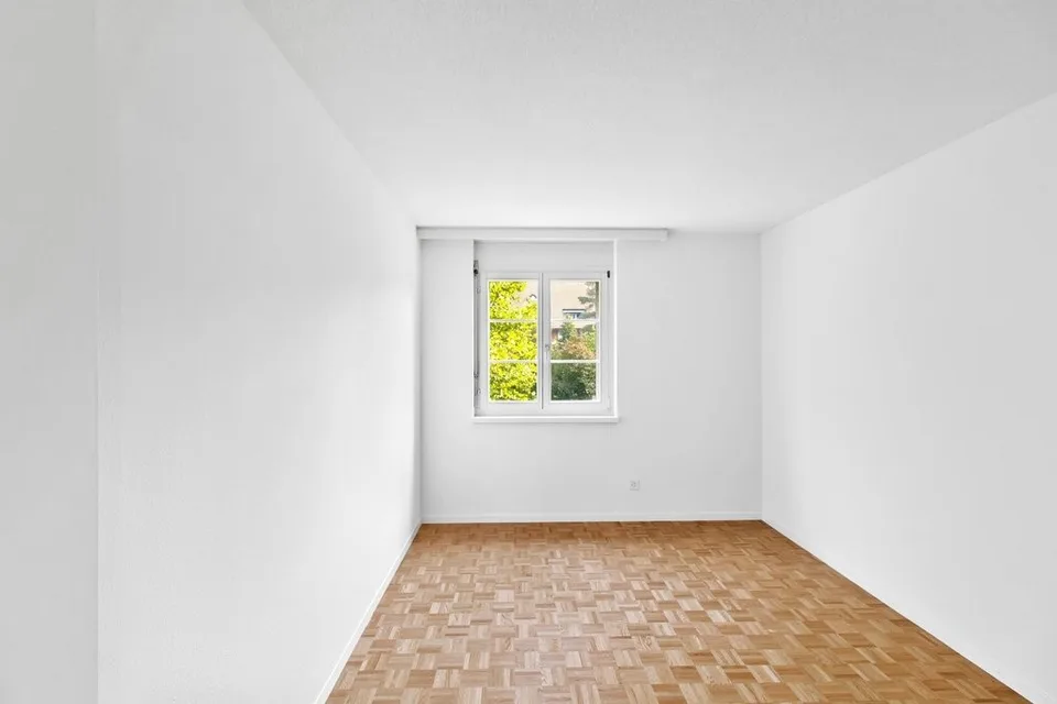 New apartment wanted?