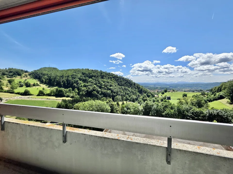 Grosse 1.5-Zi. Wohnung mit wunderschönem Aussicht, beim Wald