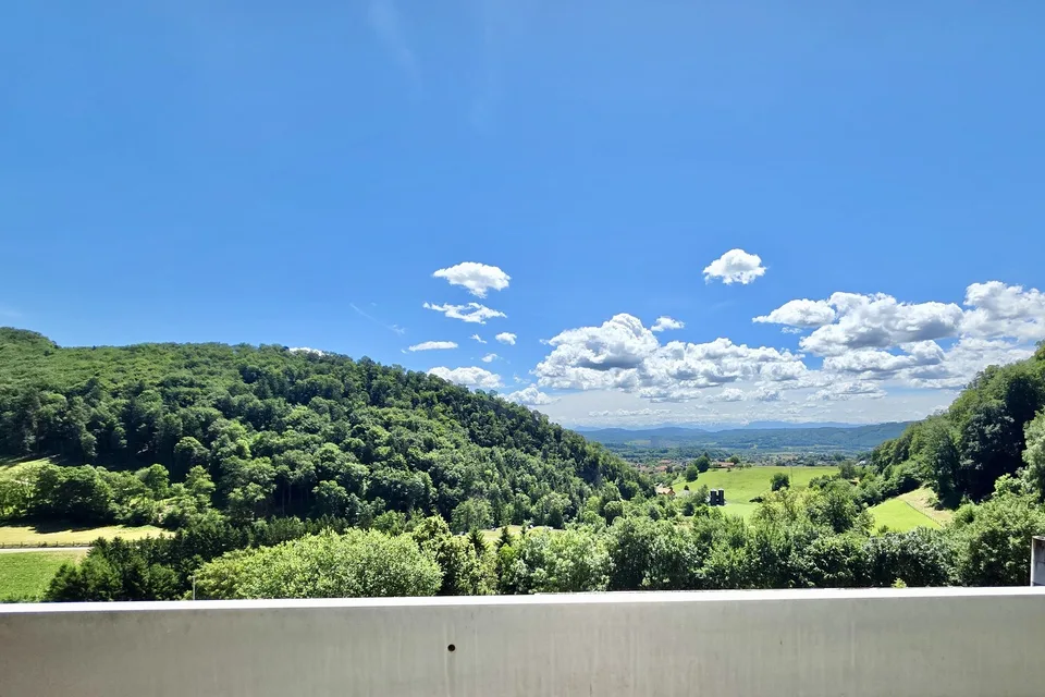 Grosse 1.5-Zi. Wohnung mit wunderschönem Aussicht, beim Wald