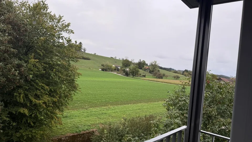 Suche Nachmieter für 3 1/2 Zimmerwohnung