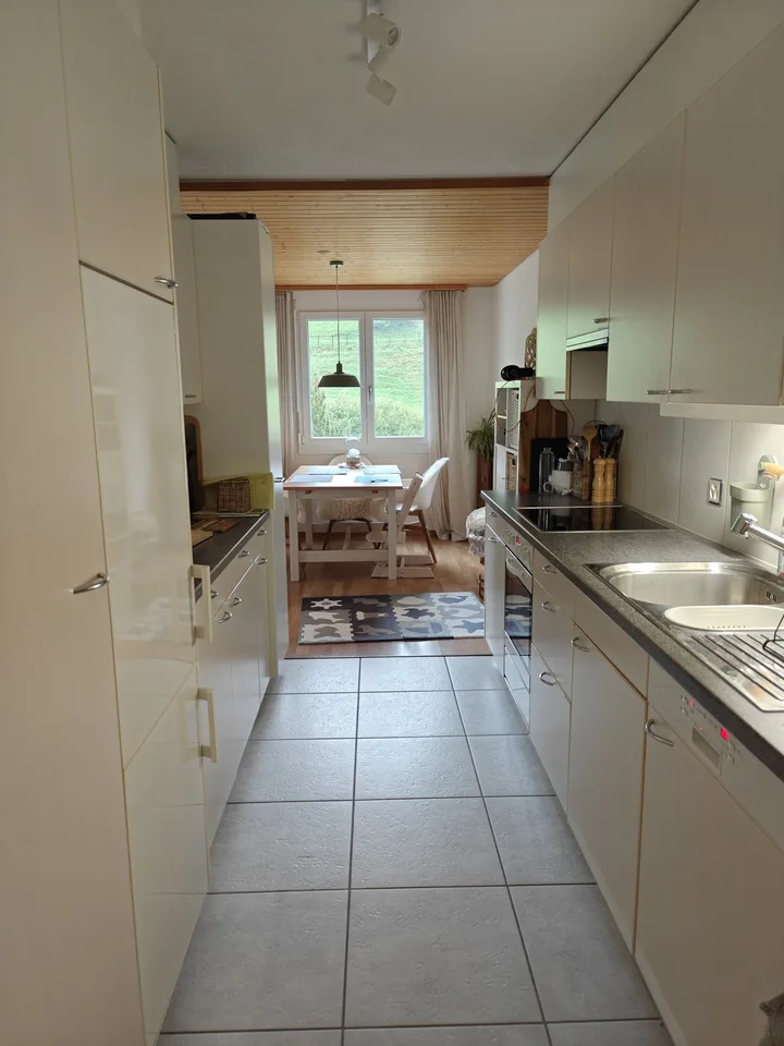 Helle 4.5 Zi Wohnung in Wald ZH