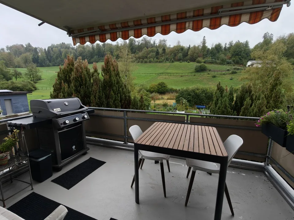 Helle 4.5 Zi Wohnung in Wald ZH