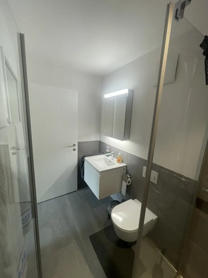 schöne und moderne 4,5 Zimmerwohnung in Egerkingen mit Aussicht