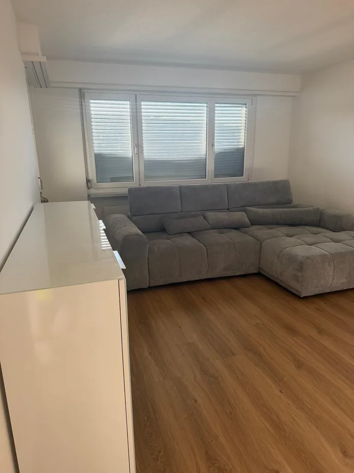 8953 Dietikon - CHF 1’565 inkl. NK pro Monat
