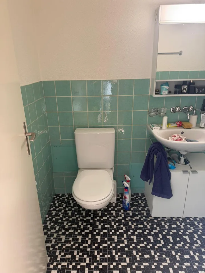 8953 Dietikon - CHF 1’565 inkl. NK pro Monat
