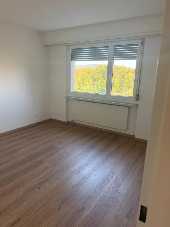 8953 Dietikon - CHF 1’565 inkl. NK pro Monat