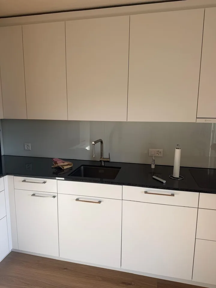 8953 Dietikon - CHF 1’565 inkl. NK pro Monat