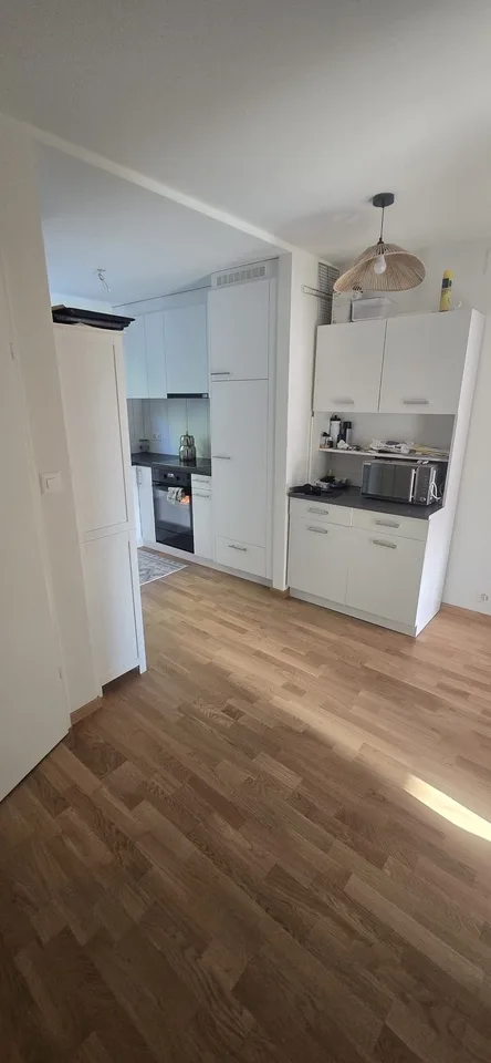 Nachmieter gesucht für gemütliche 3.5 Zimmer-Wohnung mit Balkon