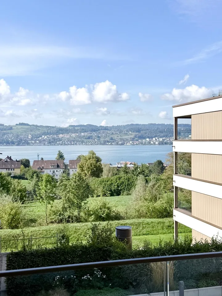 Grosse, moderne Neubauwohnung mit grossem Balkon und Blick auf den Zürichsee