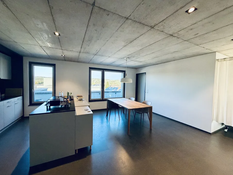 Ein Zimmer in moderner Attikawohnung mit riesiger Dachterrasse & herrlichem Ausblick (2er-WG, Möbliert, Frau bevorzugt)