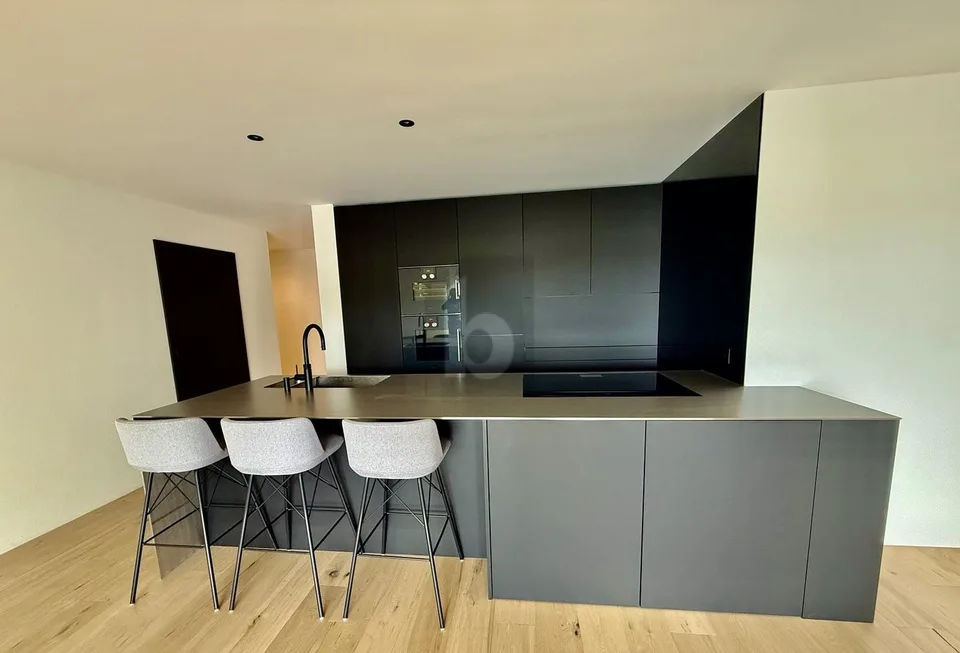 Modern and Puristic by the Lake